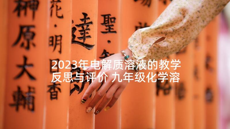 2023年电解质溶液的教学反思与评价 九年级化学溶液的酸碱性教学反思(模板5篇)