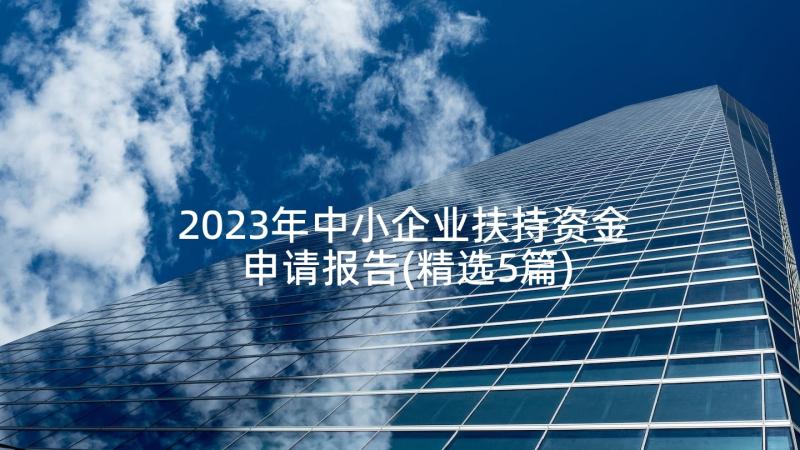 2023年中小企业扶持资金申请报告(精选5篇)