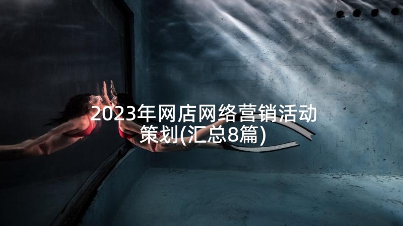 2023年网店网络营销活动策划(汇总8篇)