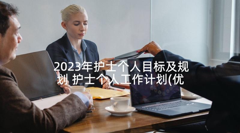 2023年护士个人目标及规划 护士个人工作计划(优秀5篇)