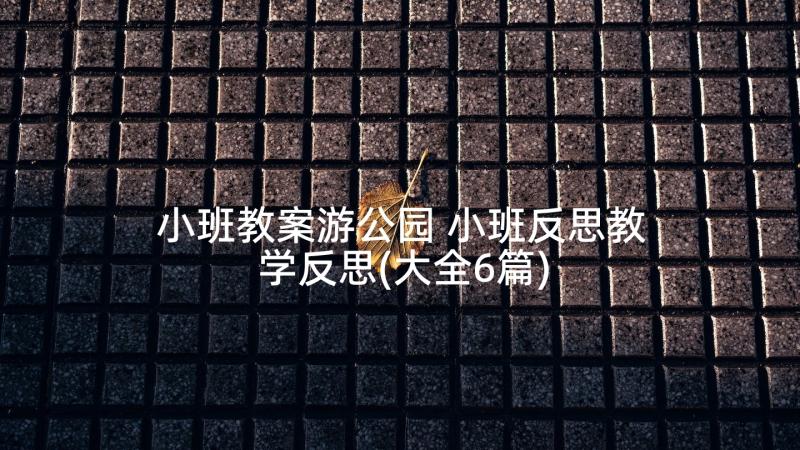 小班教案游公园 小班反思教学反思(大全6篇)