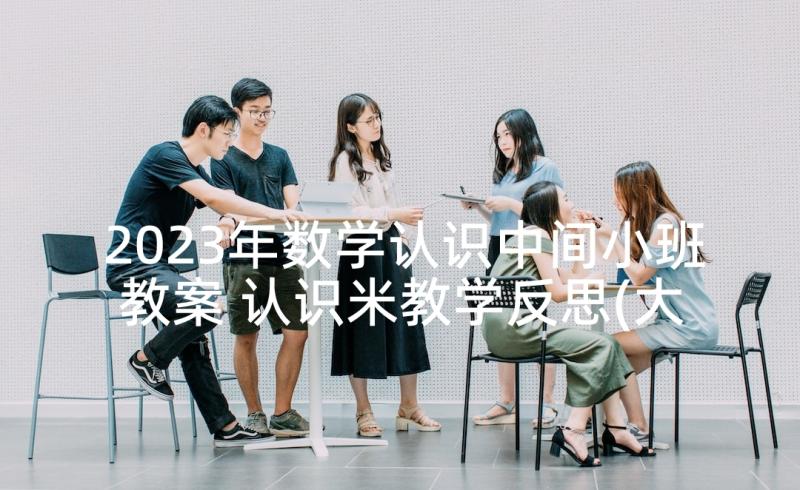 2023年数学认识中间小班教案 认识米教学反思(大全10篇)