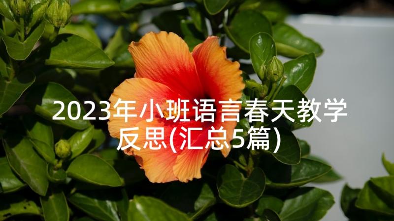 2023年小班语言春天教学反思(汇总5篇)