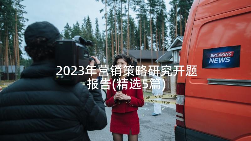 2023年营销策略研究开题报告(精选5篇)