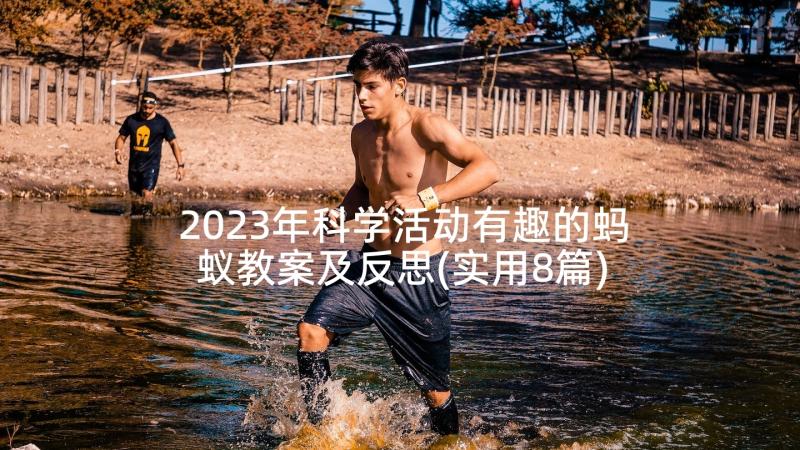 2023年科学活动有趣的蚂蚁教案及反思(实用8篇)