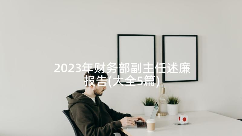 2023年财务部副主任述廉报告(大全5篇)