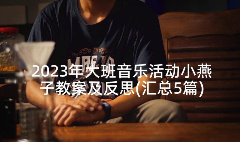 2023年大班音乐活动小燕子教案及反思(汇总5篇)