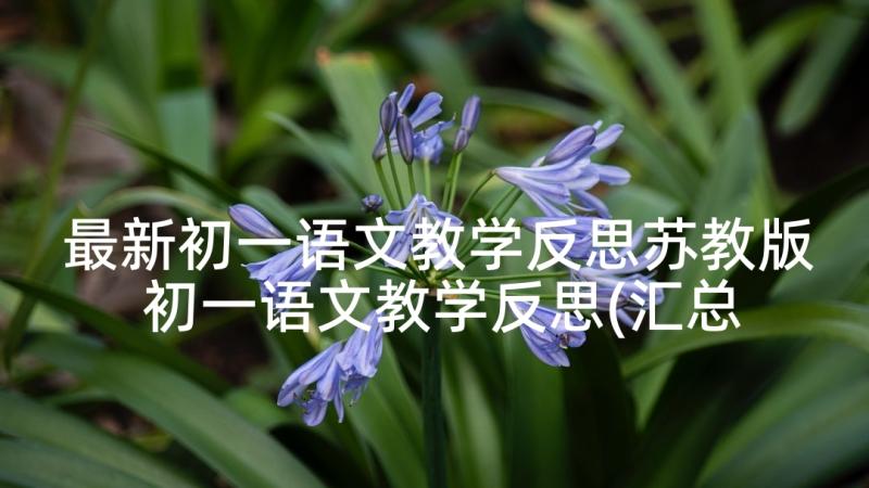 最新初一语文教学反思苏教版 初一语文教学反思(汇总5篇)