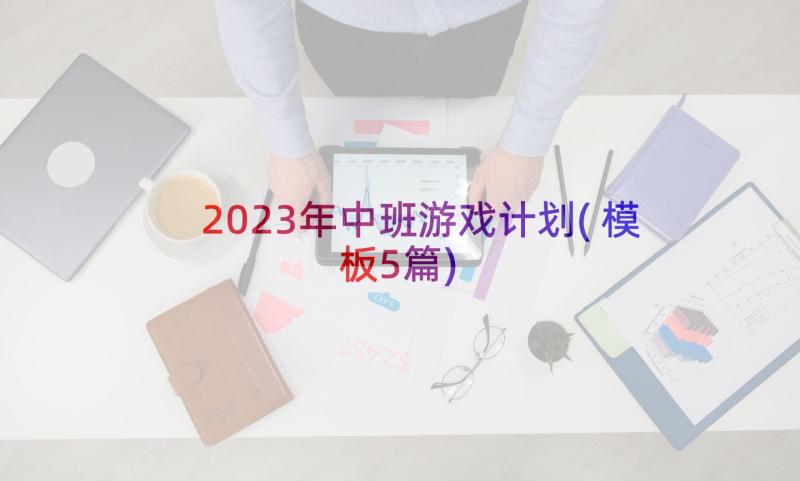 2023年中班游戏计划(模板5篇)