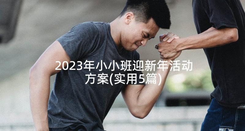 2023年小小班迎新年活动方案(实用5篇)