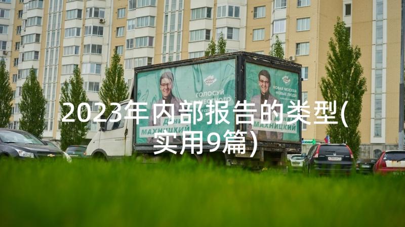 2023年内部报告的类型(实用9篇)