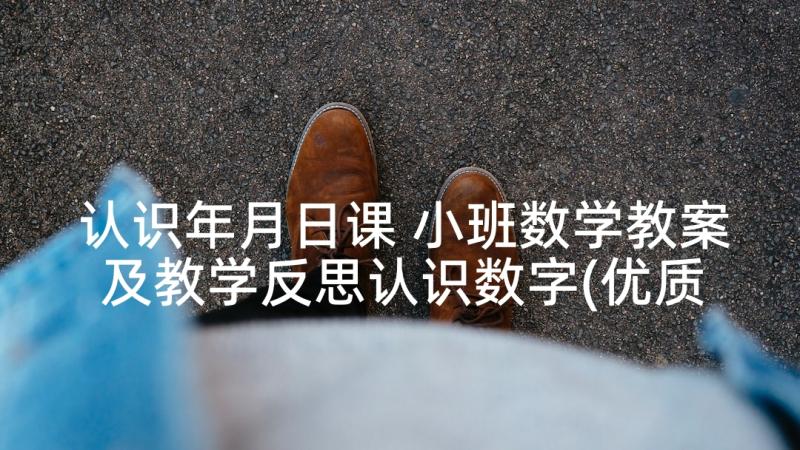 认识年月日课 小班数学教案及教学反思认识数字(优质5篇)