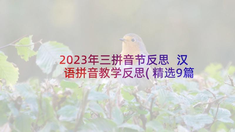 2023年三拼音节反思 汉语拼音教学反思(精选9篇)