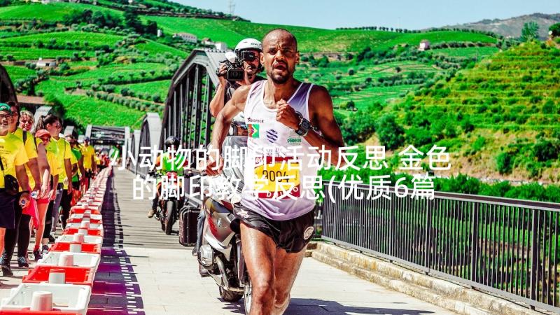 小动物的脚印活动反思 金色的脚印教学反思(优质6篇)