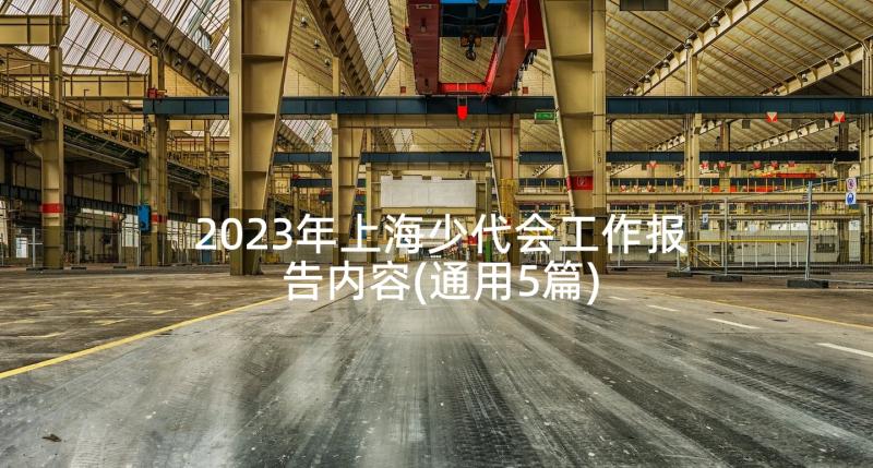 2023年上海少代会工作报告内容(通用5篇)