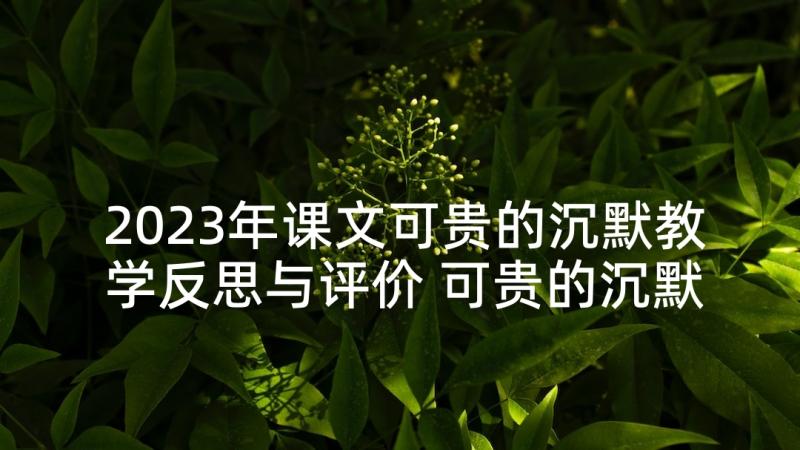 2023年课文可贵的沉默教学反思与评价 可贵的沉默教学反思(汇总10篇)