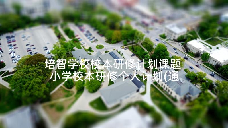 培智学校校本研修计划课题 小学校本研修个人计划(通用5篇)