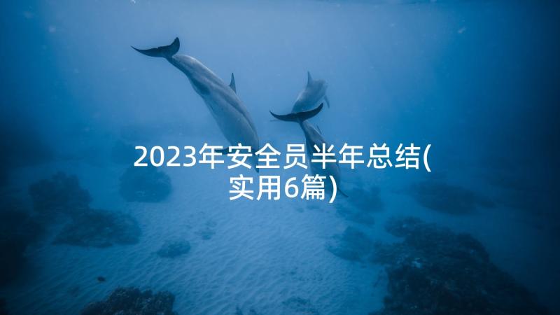 2023年安全员半年总结(实用6篇)