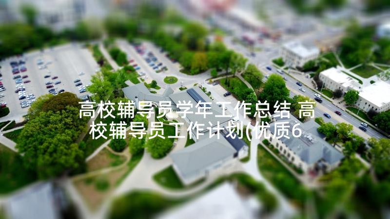 高校辅导员学年工作总结 高校辅导员工作计划(优质6篇)