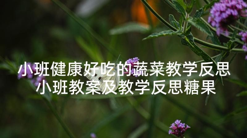 小班健康好吃的蔬菜教学反思 小班教案及教学反思糖果好看又好吃(模板5篇)