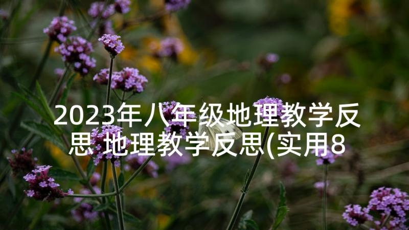 2023年八年级地理教学反思 地理教学反思(实用8篇)