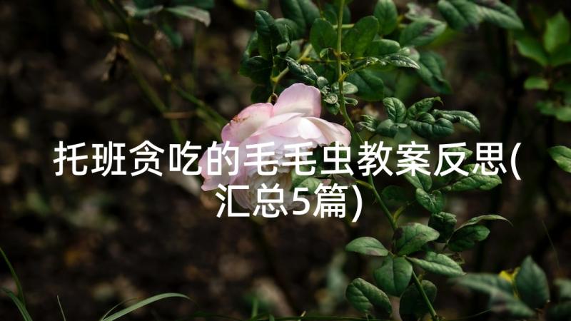 托班贪吃的毛毛虫教案反思(汇总5篇)