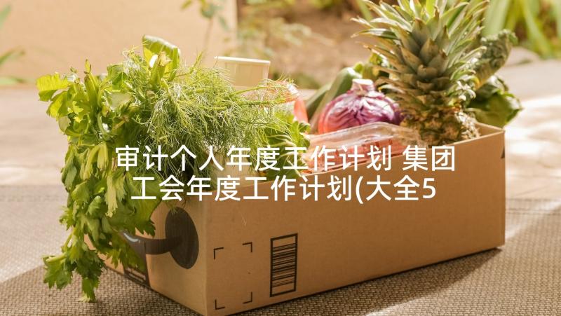 审计个人年度工作计划 集团工会年度工作计划(大全5篇)