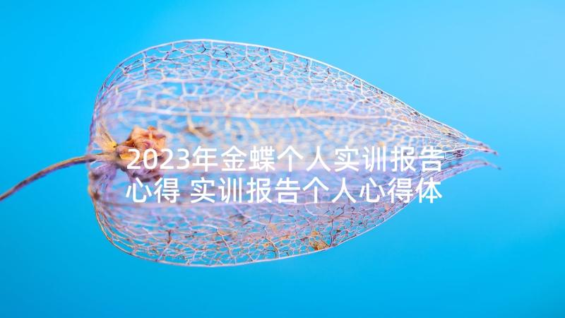 2023年金蝶个人实训报告心得 实训报告个人心得体会(模板5篇)