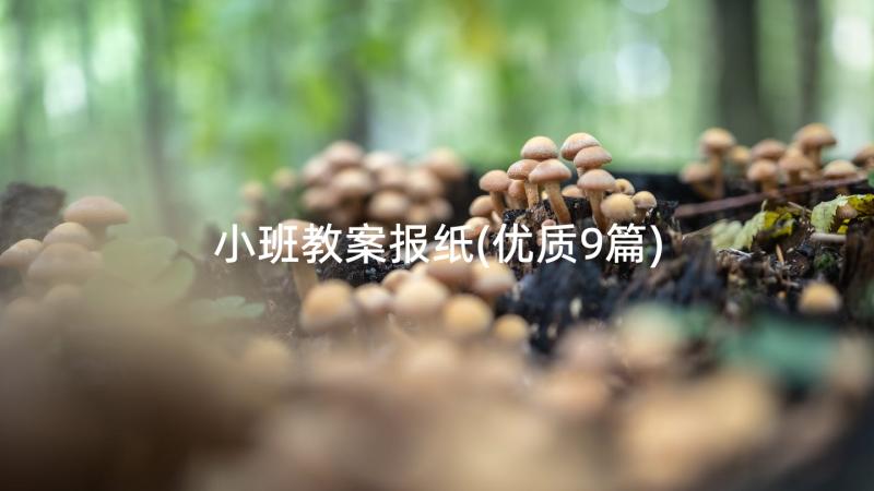 小班教案报纸(优质9篇)