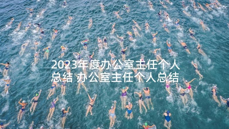 2023年度办公室主任个人总结 办公室主任个人总结(精选5篇)