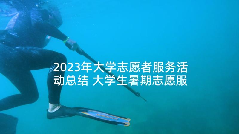 2023年大学志愿者服务活动总结 大学生暑期志愿服务社会实践活动总结(优质5篇)