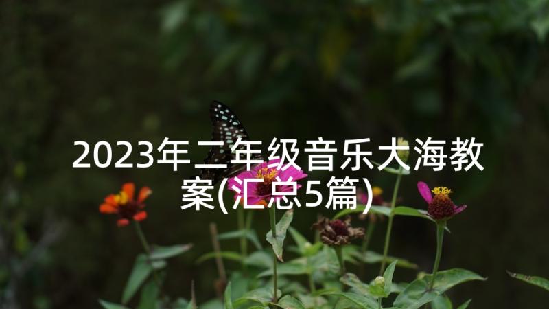 2023年二年级音乐大海教案(汇总5篇)