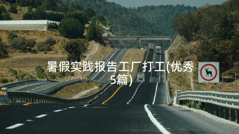 暑假实践报告工厂打工(优秀5篇)