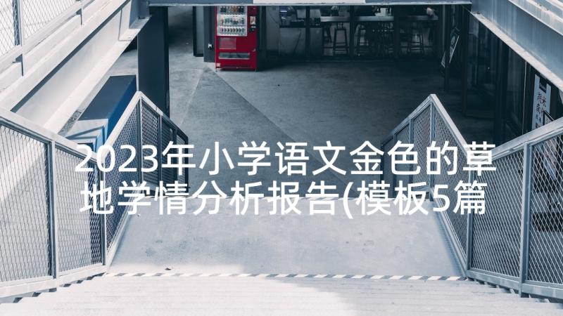 2023年小学语文金色的草地学情分析报告(模板5篇)