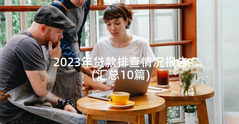 2023年贷款排查情况报告(汇总10篇)