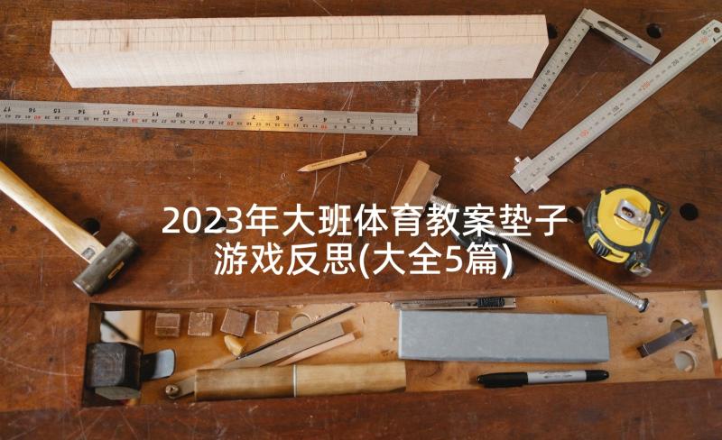 2023年大班体育教案垫子游戏反思(大全5篇)