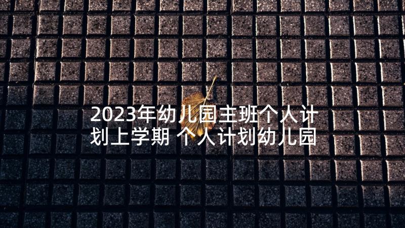 2023年幼儿园主班个人计划上学期 个人计划幼儿园(大全6篇)