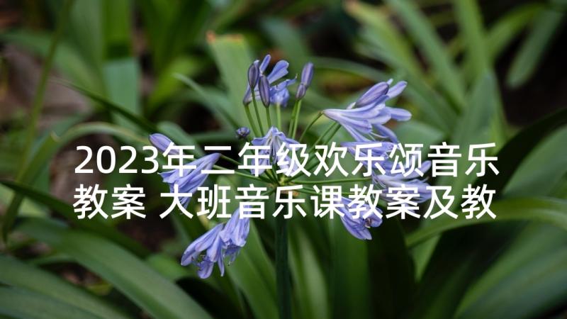 2023年二年级欢乐颂音乐教案 大班音乐课教案及教学反思欢乐颂(汇总5篇)