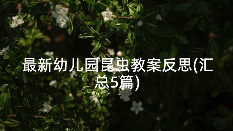 最新幼儿园昆虫教案反思(汇总5篇)