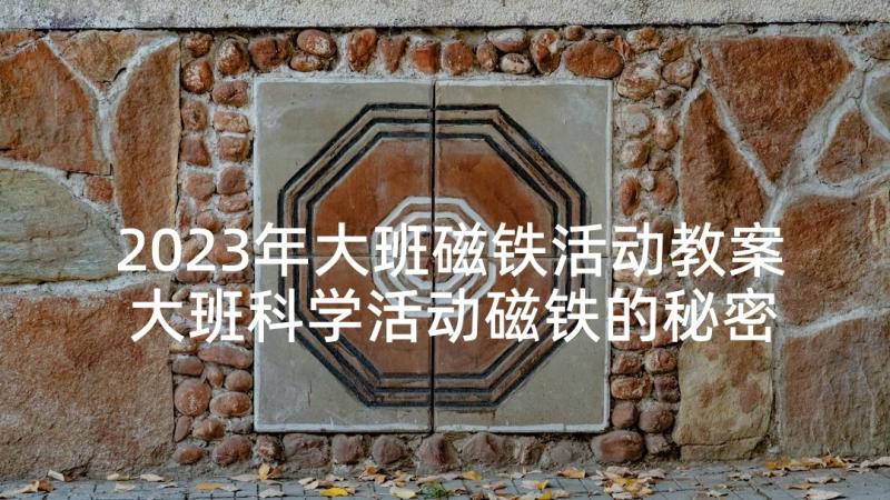 2023年大班磁铁活动教案 大班科学活动磁铁的秘密(精选5篇)