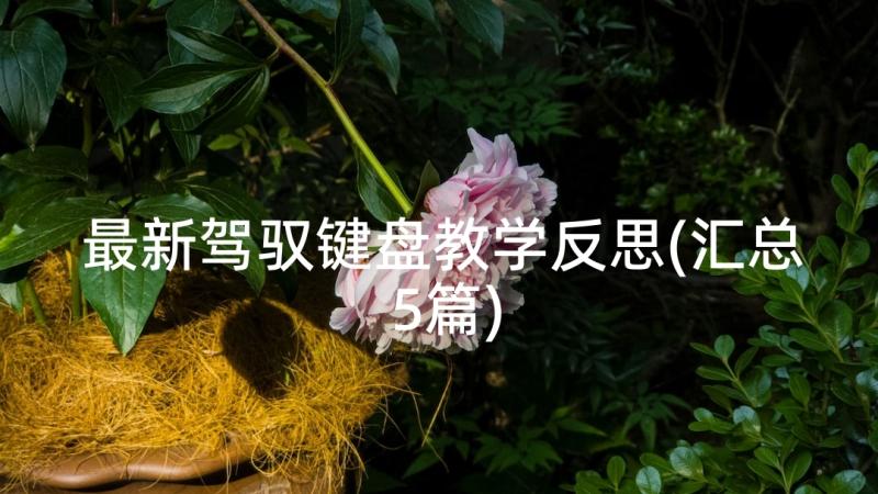 最新驾驭键盘教学反思(汇总5篇)