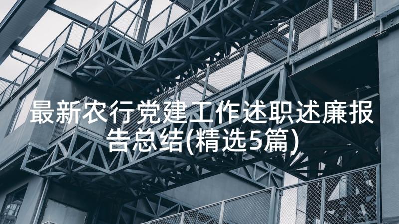 最新农行党建工作述职述廉报告总结(精选5篇)