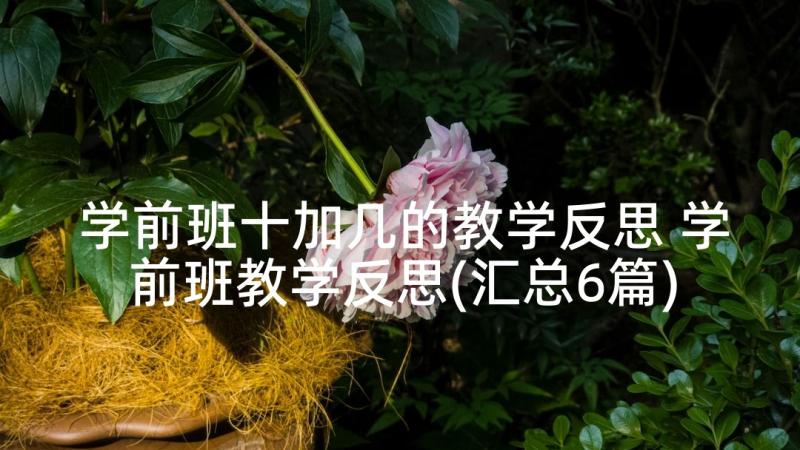 学前班十加几的教学反思 学前班教学反思(汇总6篇)