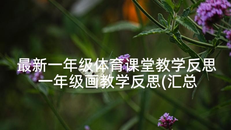 最新一年级体育课堂教学反思 一年级画教学反思(汇总5篇)