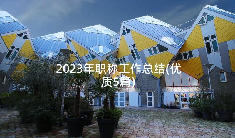 2023年职称工作总结(优质5篇)