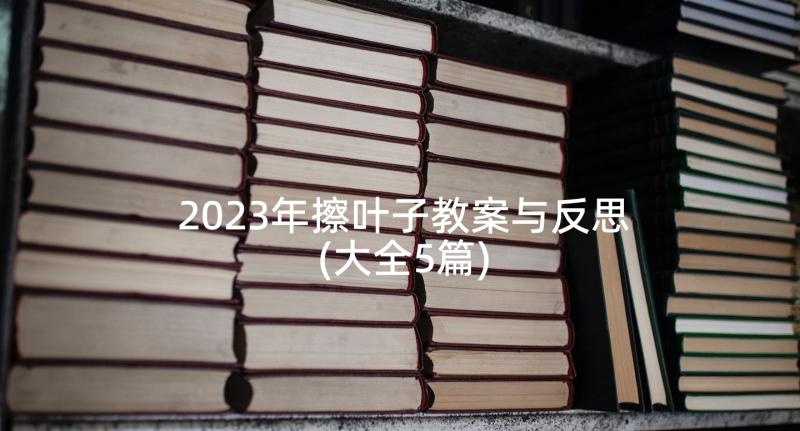 2023年擦叶子教案与反思(大全5篇)