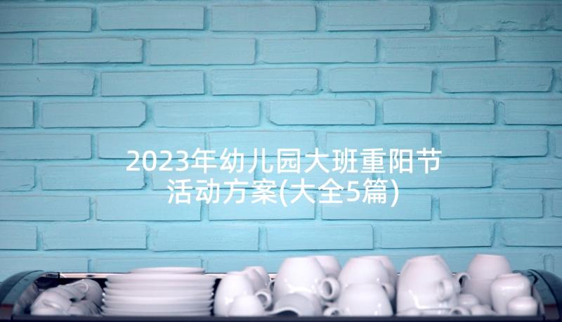 2023年幼儿园大班重阳节活动方案(大全5篇)