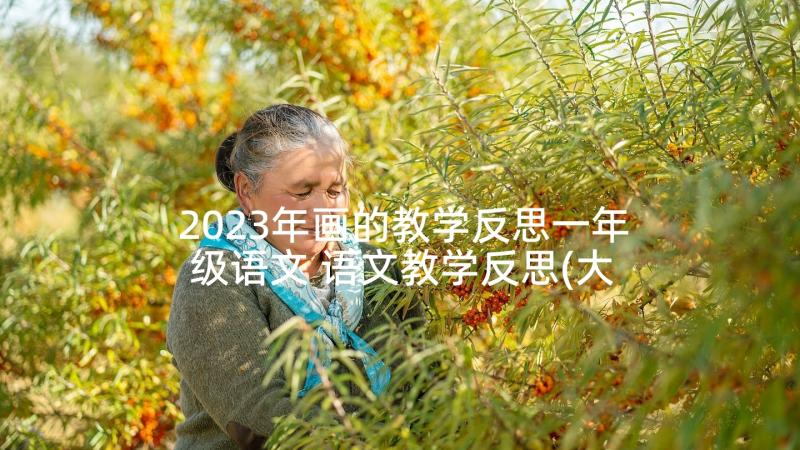 2023年画的教学反思一年级语文 语文教学反思(大全7篇)