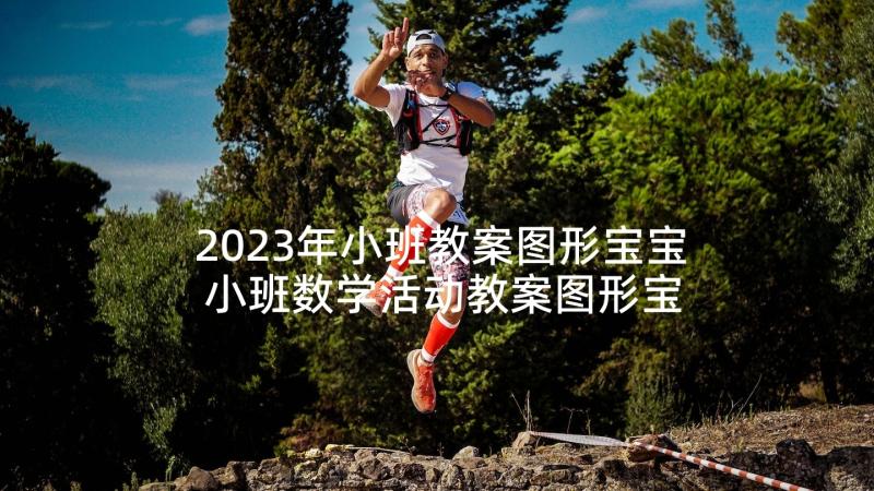 2023年小班教案图形宝宝 小班数学活动教案图形宝宝(通用5篇)