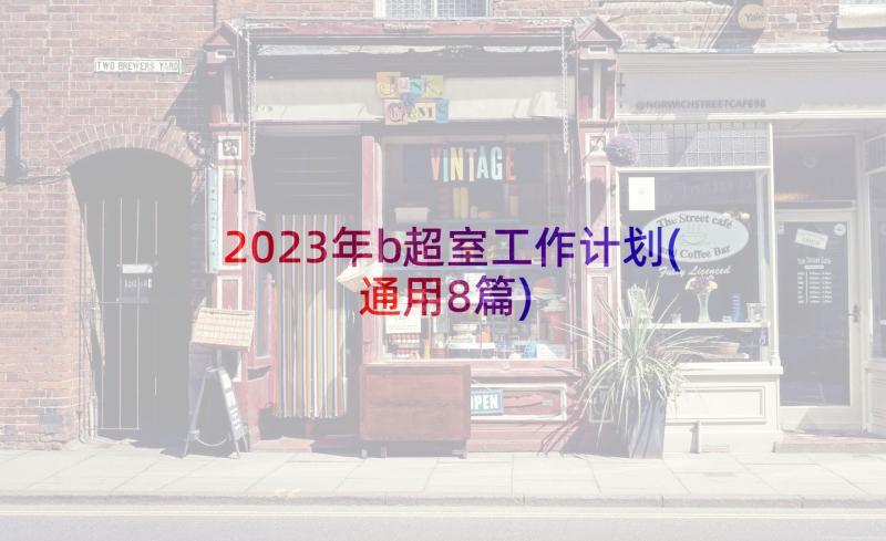 2023年b超室工作计划(通用8篇)